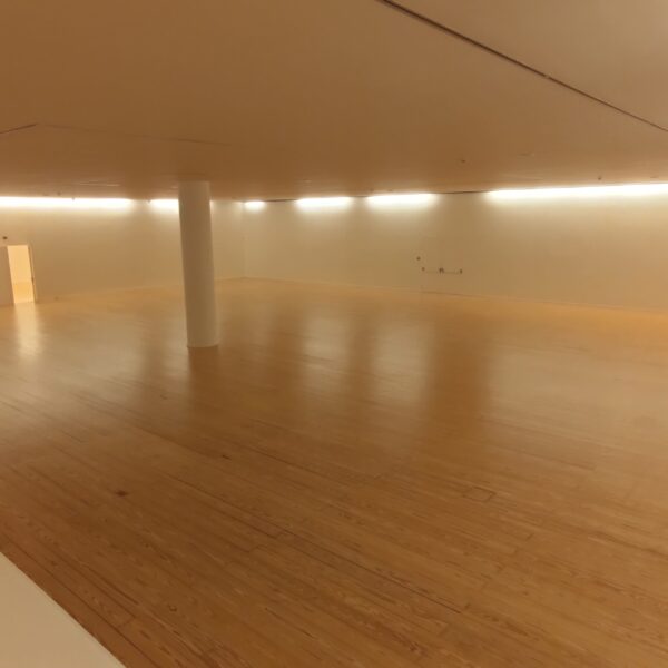 Museu Nacional Soares Dos Reis - Remodelação dos Espaços e Equipamentos Expositivos