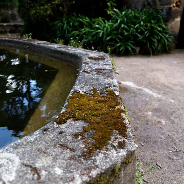 PSML - Convento dos Capuchos